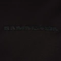 Thumbnail for version as of 23:47, 12 May 2026