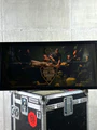 Thumbnail for version as of 05:12, 12 January 2025