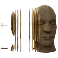 Thumbnail for version as of 23:04, 13 May 2026
