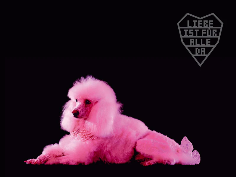 File:Digital Booklet Pussy 2.png