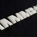 Thumbnail for version as of 23:48, 13 May 2026
